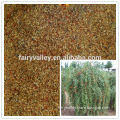 2014 Newly Goji seeds Chinese wolfberry seeds Lycium For Sowing